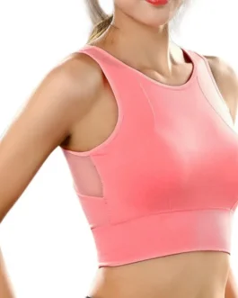 Women Solid Bras Breathable Mesh Bras Shockproof Padded Solid Bra Seamless Fitness Tops Waistcoat