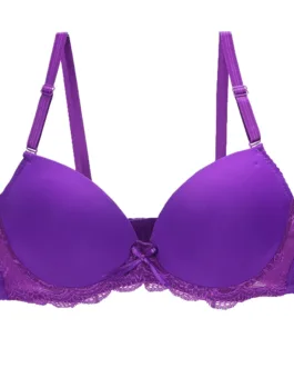 2024 New Sexy Push Up Bra For Women Pink Blace Blue Green Khaki Purple Brassiere BCDE Cup Underwear Underwire Plus Size Lingerie